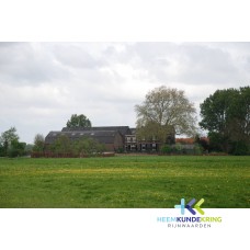 Boerderij Stam Spijk F00002658